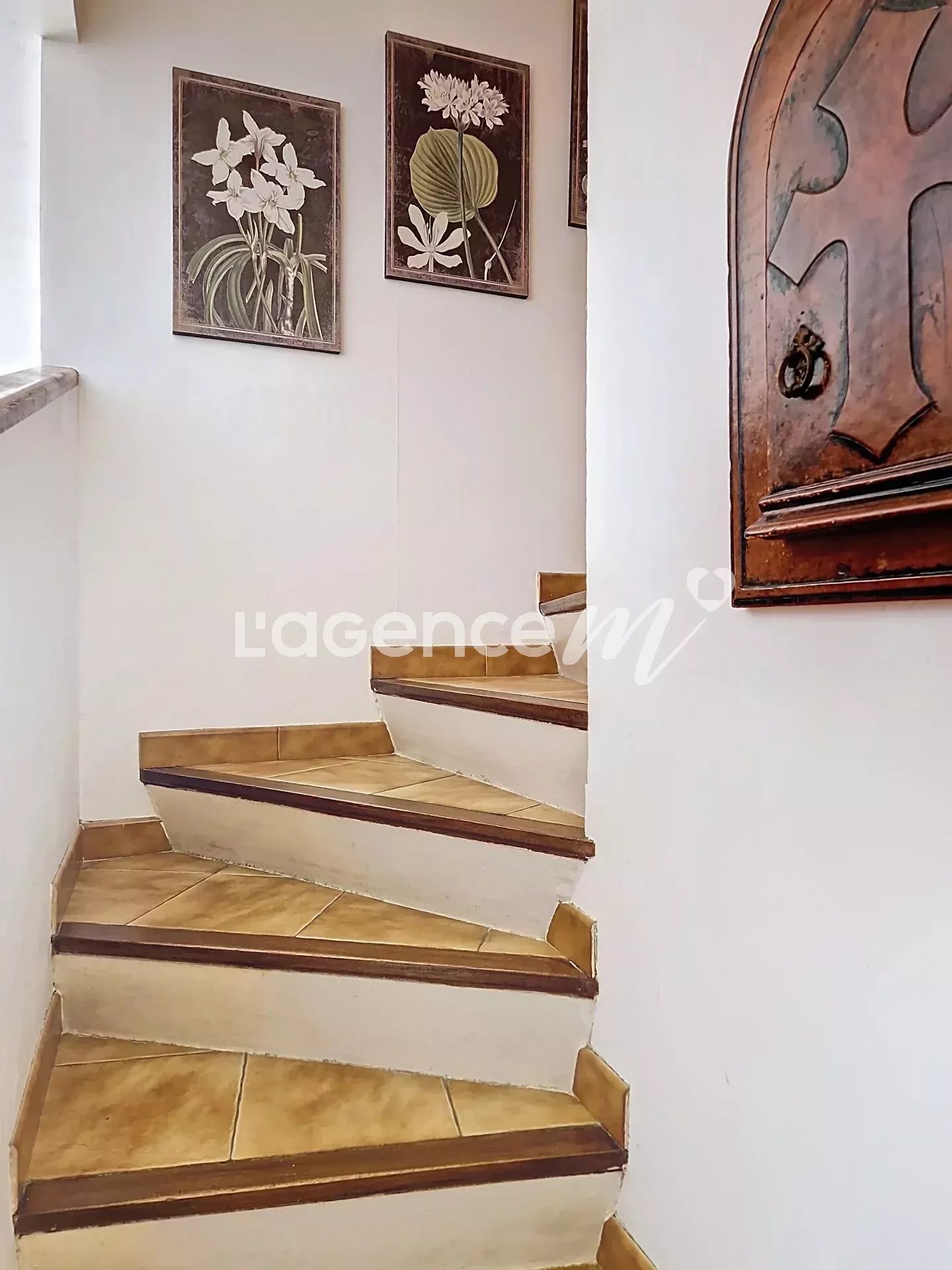 9b517e52f82ebf34fb02e5aa157fd724_7b4b22c54f_1920-original